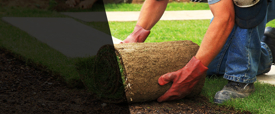 Ganado Landscapers